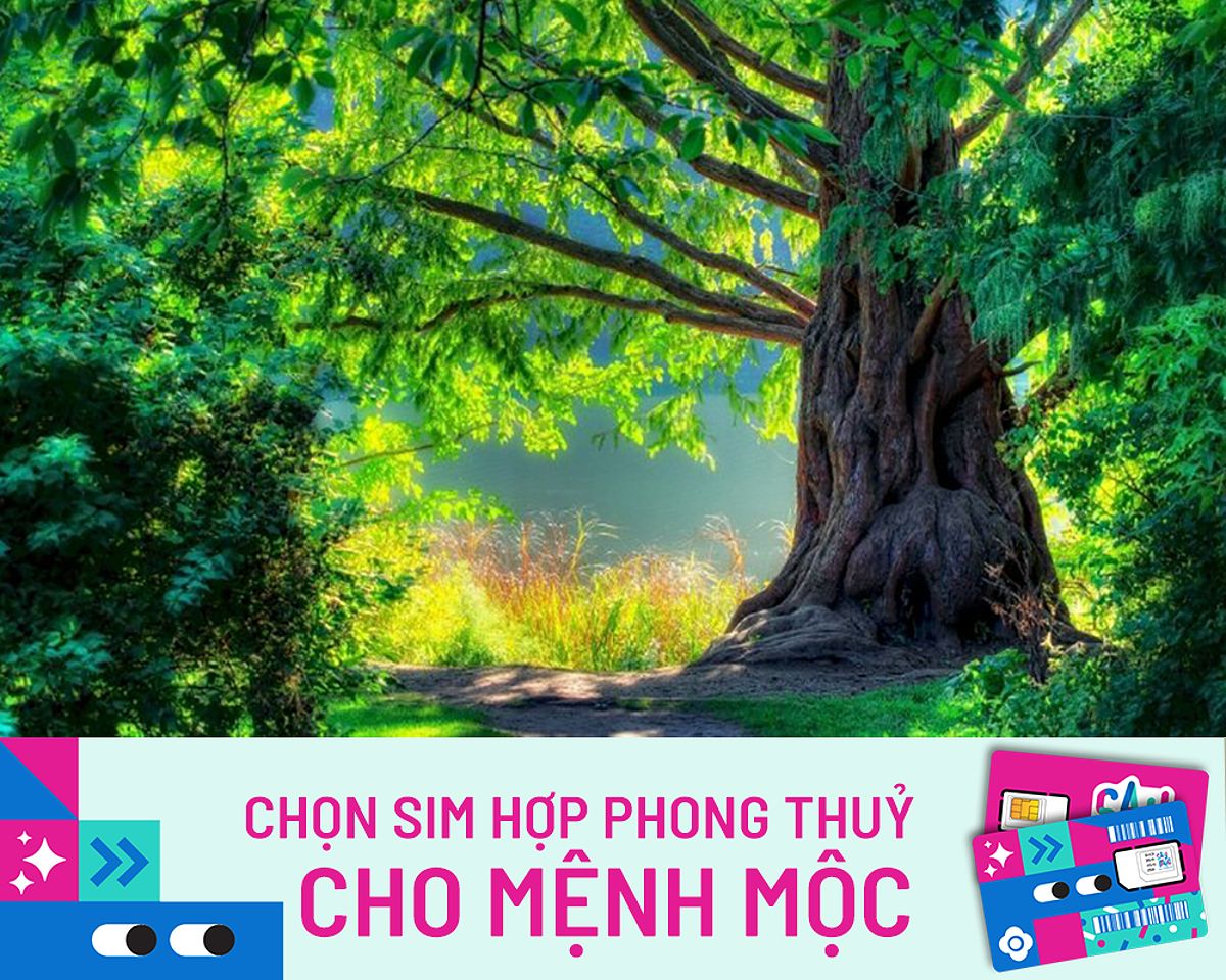 Chọn SIM hợp phong thủy cho người mệnh Mộc