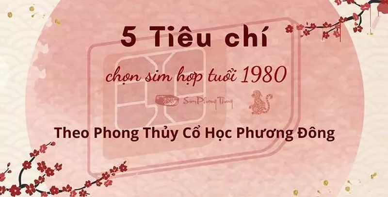 Chọn sim hợp tuổi 1980