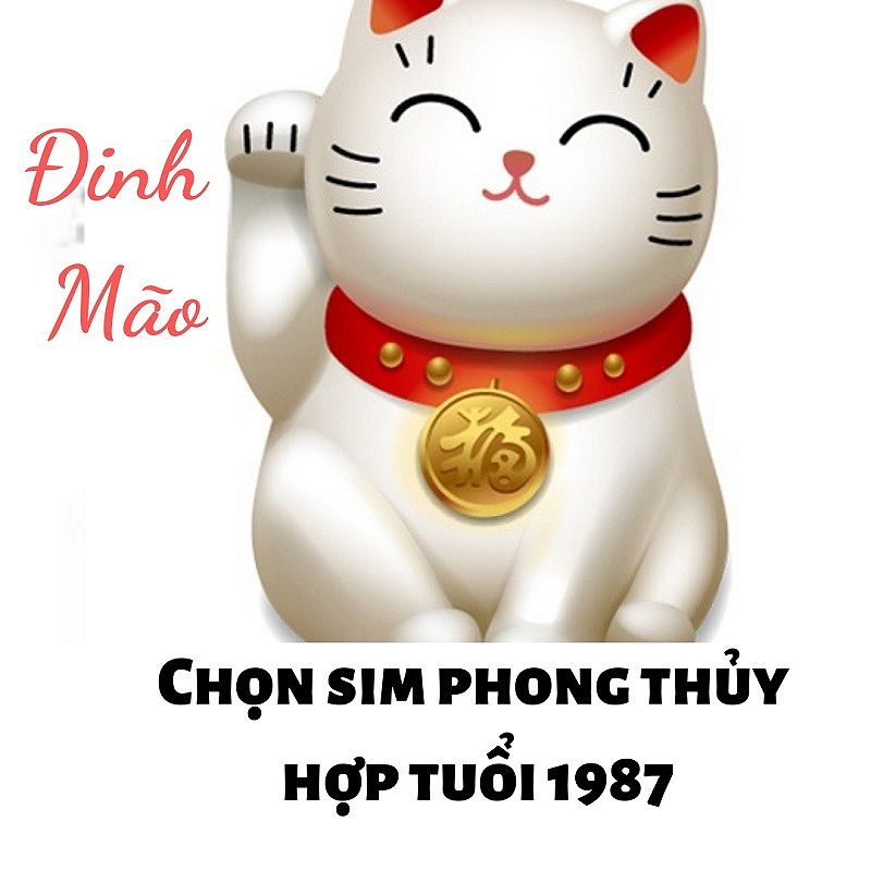 Chọn sim hợp tuổi Đinh Mão