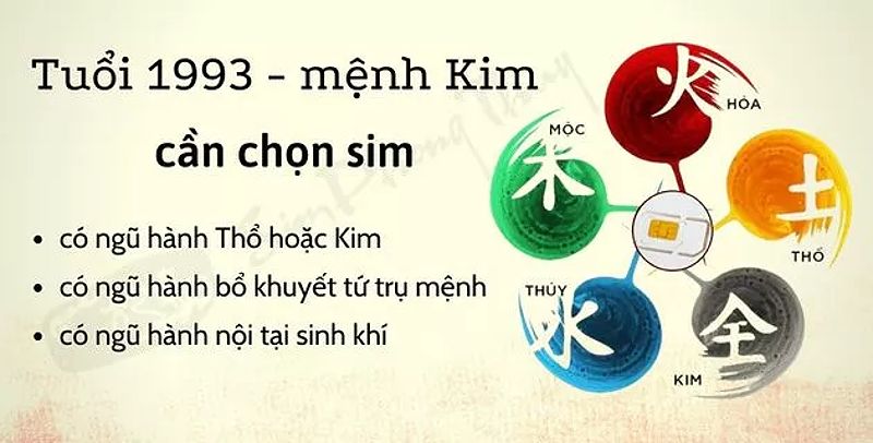 Ngũ hành sim hợp tuổi 1993