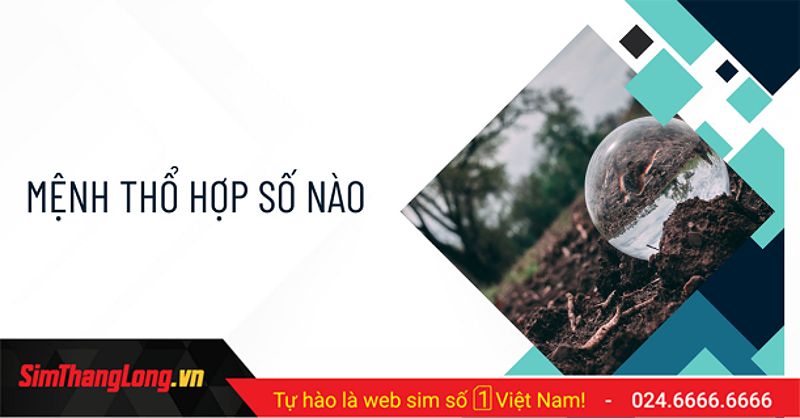 Người Mệnh Thổ hợp số điện thoại nào