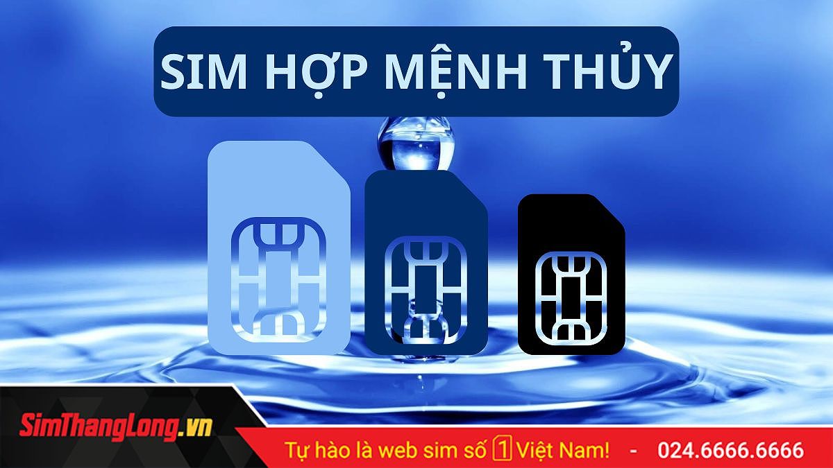 Sim hợp mệnh Thủy