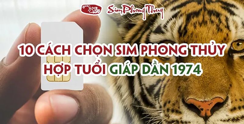 Tuổi Giáp Dần hợp số điện thoại nào