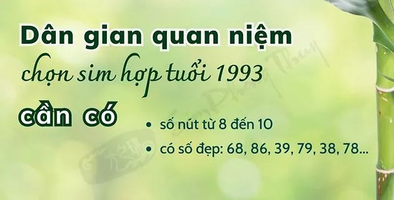 Sim hợp tuổi 1993 theo quan niệm dân gian