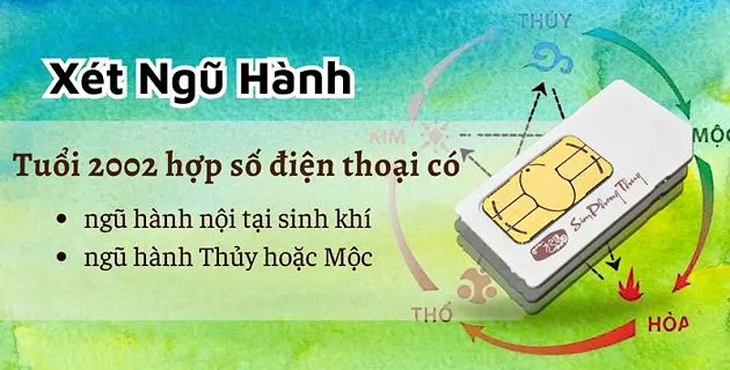 Sim hợp tuổi 2002 theo ngũ hành