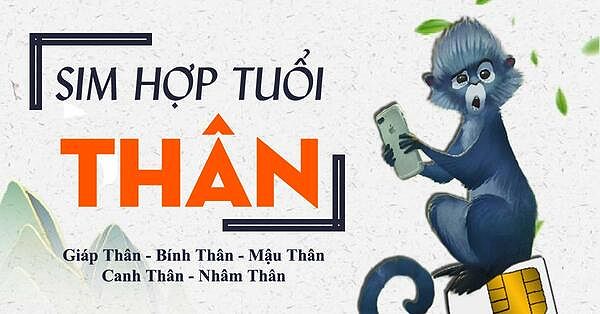 Sim hợp tuổi Thân