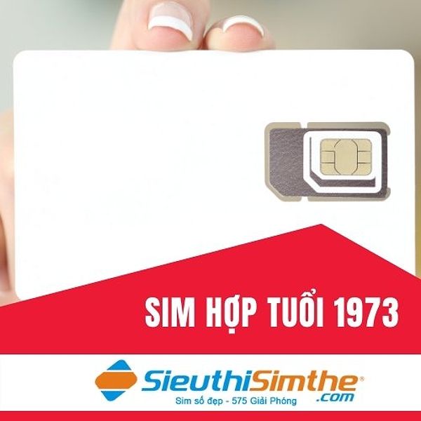 Sim phong thủy hợp tuổi 1973