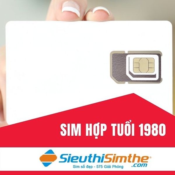 Sim phong thủy hợp tuổi 1980