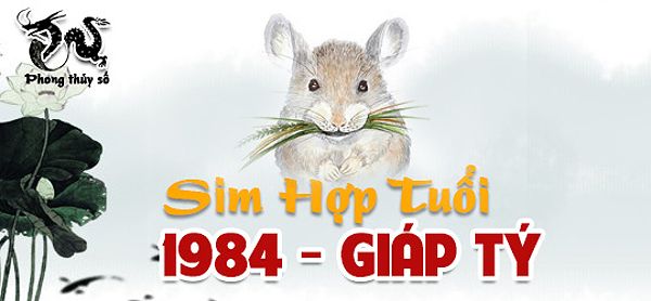 Sim phong thủy hợp tuổi 1984