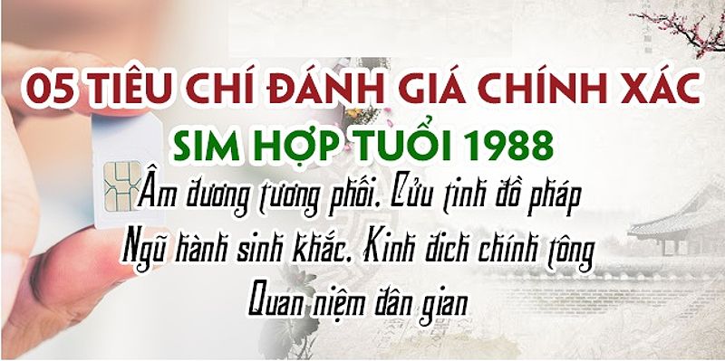 Sim phong thủy tuổi mậu thìn 1988