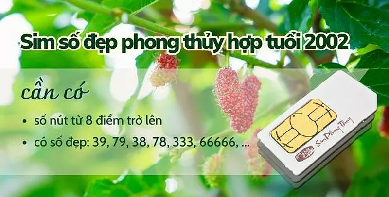 Sim số đẹp phong thuỷ hợp tuổi 2002