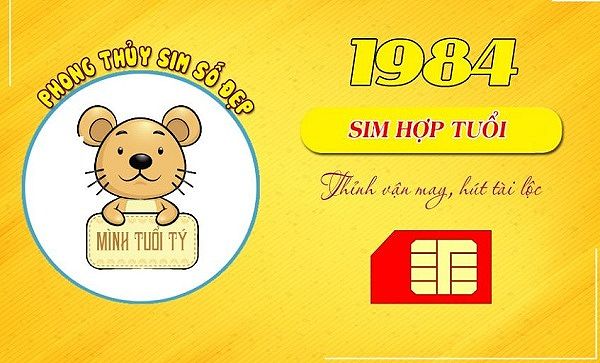 Việc lựa chọn sim hợp tuổi Giáp Tý rất quan trọng